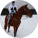 Honza Volejnik profile picture